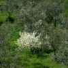 DSCF0020