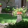 DSCF0008