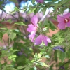 DSCF0009