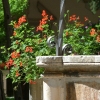 DSCF0010