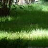DSCF0011