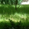 DSCF0012