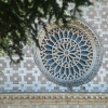 DSCF0021