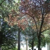 DSCF0024