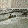 DSCF0049