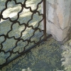 DSCF0057