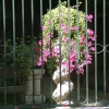 DSCF0062