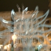 DSCF0016