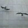 DSCF0036