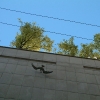 DSCF0037