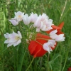 DSCF0008