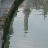 DSCF0040