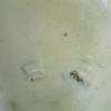 DSCF0052