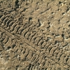 DSCF0010