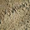 DSCF0012