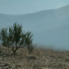 DSCF0041