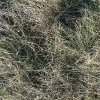 DSCF0046