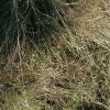 DSCF0047