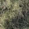 DSCF0048