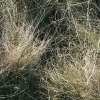 DSCF0049