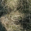 DSCF0051