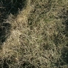 DSCF0052