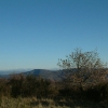 DSCF0055