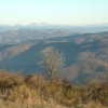 DSCF0070