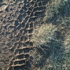 DSCF0073