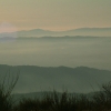 DSCF0075