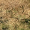 DSCF0081