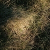 DSCF0083