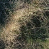 DSCF0084