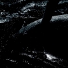 IMG_4498