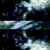 sorgente001