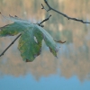 DSCF0004