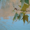 DSCF0006