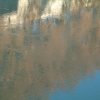 DSCF0008