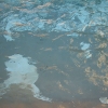 DSCF0020