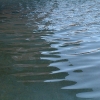 DSCF0027