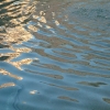 DSCF0028