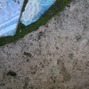 DSCF0048