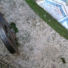 DSCF0049