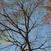 DSCF0061