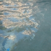 DSCF0072