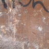DSCF0098