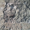 DSCF0102