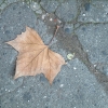 DSCF0105