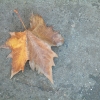 DSCF0107