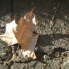 DSCF0109